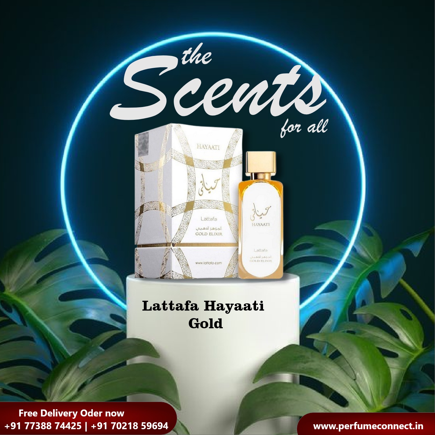 Elevate your senses with HAYAATI